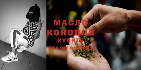 стаф Осинники