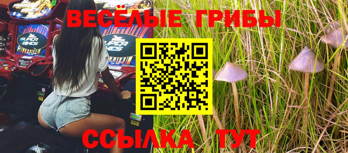 Галлюциногенные грибы MAGIC MUSHROOMS Снежинск