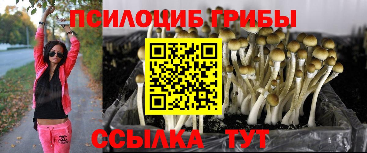 Псилоцибиновые грибы Cubensis  где можно купить наркотик  Снежинск  Вход с VPN 
